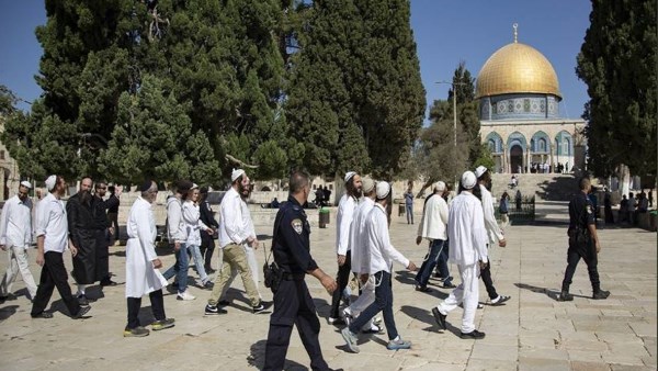 عشرات المستوطنين يقتحمون باحات الأقصى