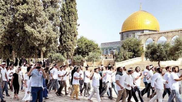 مستوطنون يقتحمون باحات المسجد الأقصى