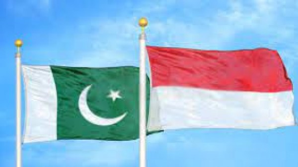 باكستان وإندونيسيا 