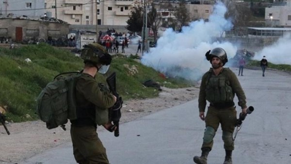 99 اعتداءً استيطانيا واستشهاد وإصابة 95 فلسطينيا في قطاع غزة خلال أسبوع 