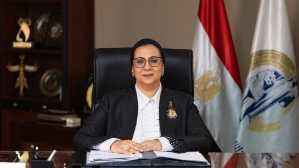  المستشارة أمل عمار، رئيسة المجلس القومي للمرأة