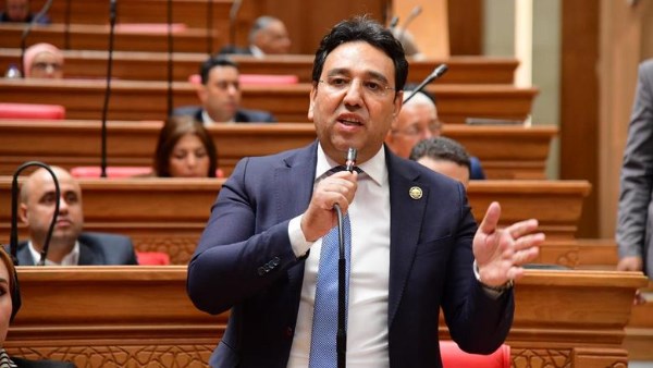 مقرر لجنة أولويات الاستثمار بالحوار الوطني النائب الدكتور أيمن محسب