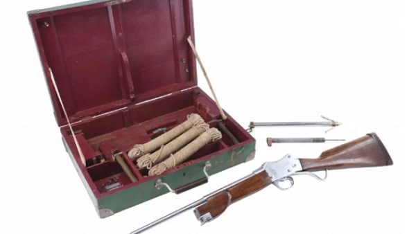 كنوز فيلم «الفك المفترس» الأصلية تتجه إلى المزاد العالمي 2026.. إيه الحكاية؟