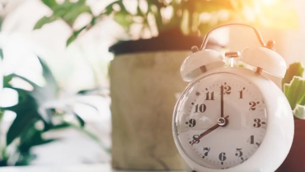 4 عادات صباحية بسيطة تعزز صحة أمعائك وتزيد طاقتك