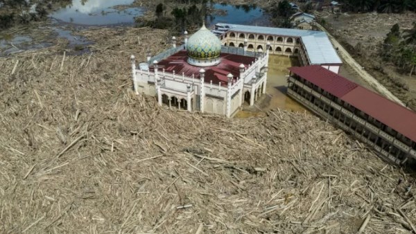 الأشجار تمنع الصلاة في مسجد بسومطرة