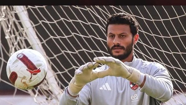 محمد الشناوي