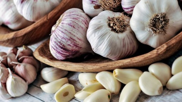 دراسة علمية حديثة تكشف دور الثوم المعتق في الوقاية من ألزهايمر