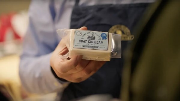 جوجل تتراجع عن إعلان «Gouda» بعد خطأ في بيانات الذكاء الاصطناعي