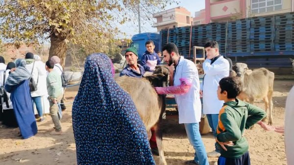 قافلة بيطرية في المنوفية 