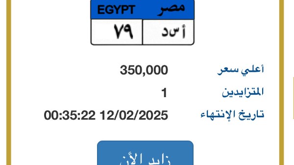 وصلت 350 ألف جنيه.. مزايدة على لوحة سيارة تحمل أحرف 