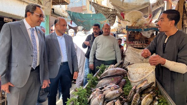 خلال جولة مفاجئة.. محافظ قنا يوجه بتشديد الرقابة على الأسواق