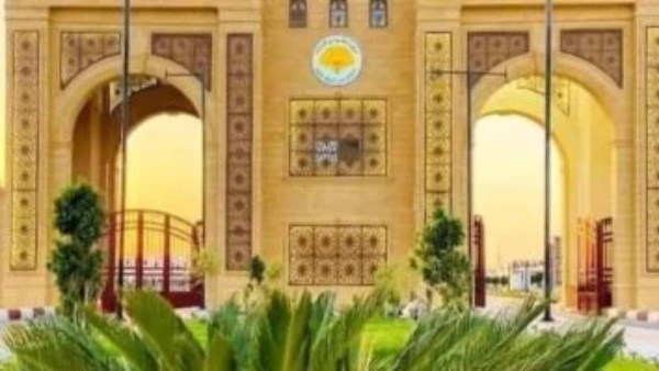 جامعة الوادي الجديد 