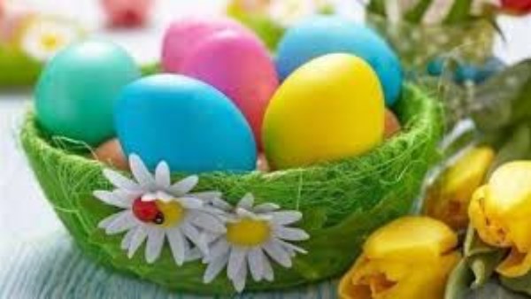 فوائد عديدة.. أخصائية تغذية تكشف مفاجآت عن أطعمة شم النسيم