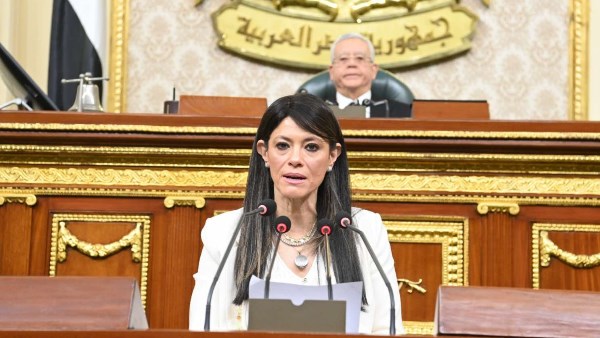 وزيرة التخطيط