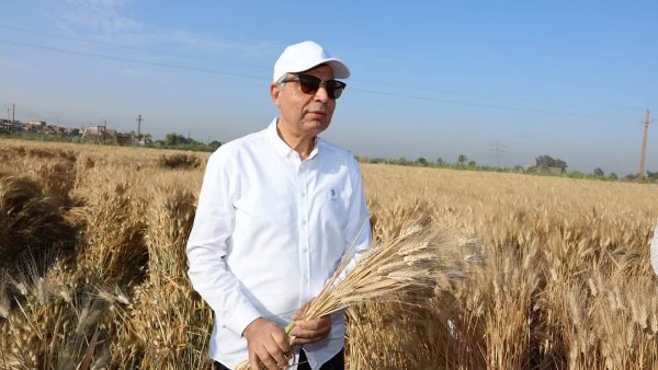 اللواء عماد كدواني محافظ المنيا 