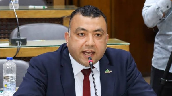 المهندس الاستشاري السيد حسن