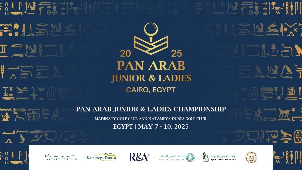 طلعت مصطفى 