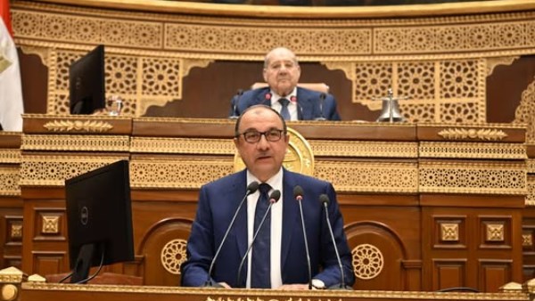 وزير قطاع الأعمال العام