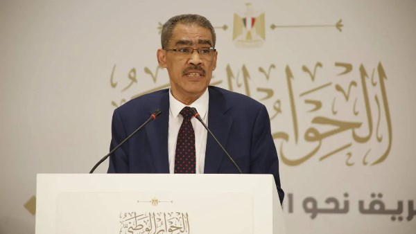 ضياء رشوان 