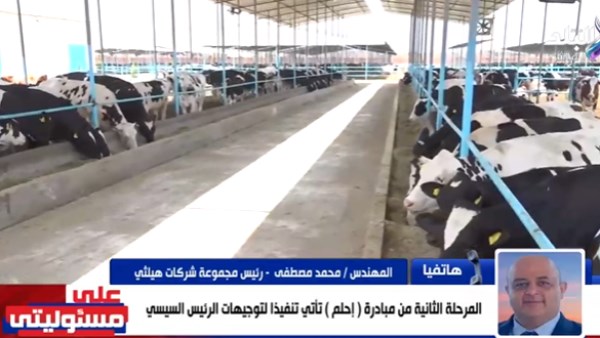 مجموعة هيلثي 