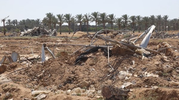 انهيار القطاع الزراعي في غزة.. 4.6% فقط من الأراضي صالحة للزراعة