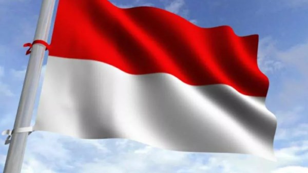 علم إندونيسيا