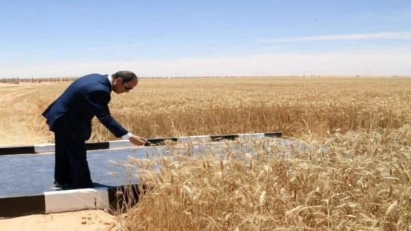 الرئيس عبدالفتاح السيسي