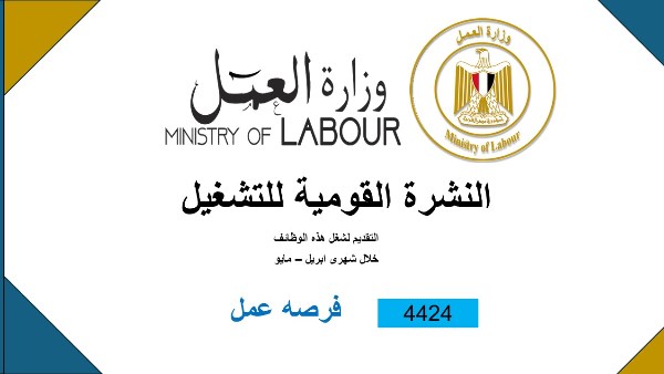 النشرة القومية للتوظيف 