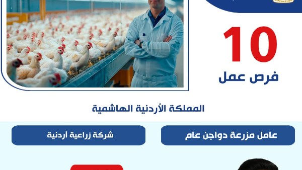 فرص العمل المتاحة 