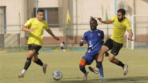 دوري المحترفين