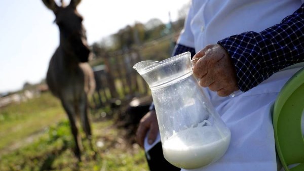 صورة أرشيفية  صورة أرشيفية