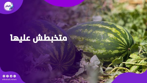 البطيخ