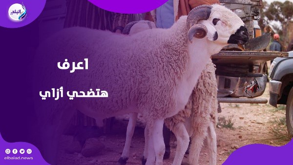الاضحية