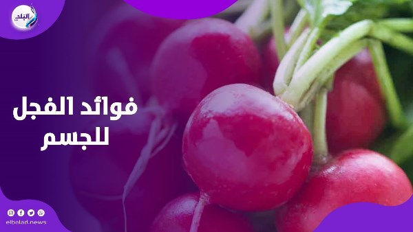 فوائد الفجل للجسم