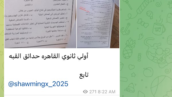 شاومينج