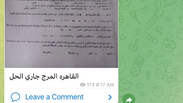 شاومينج