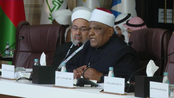 أ.د عباس شومان،