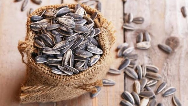 مضاد للالتهابات ويقوي المناعة.. ماذا يحدث للجسم عند تناول لب عباد الشمس
