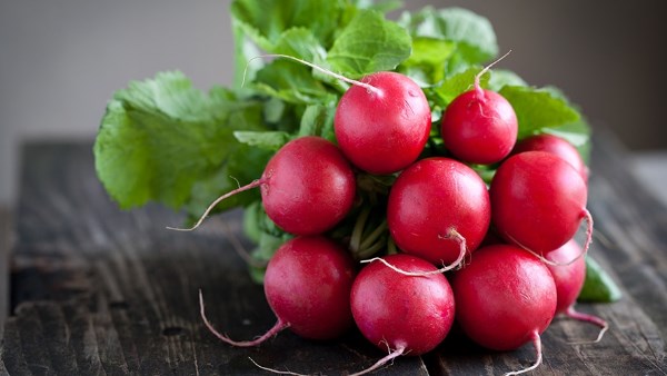 ماذا يحدث لجسمك عند تناول الفجل الاحمر؟