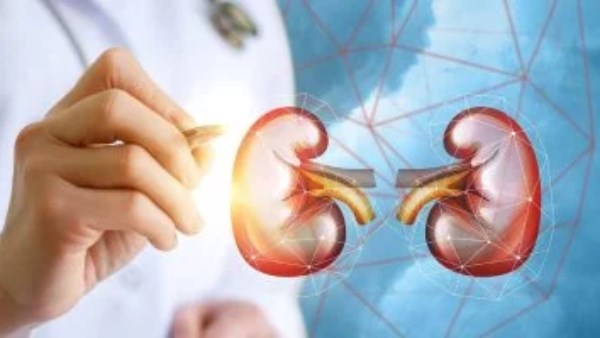  10 علامات تؤكد على وجود مشاكل في الكلى