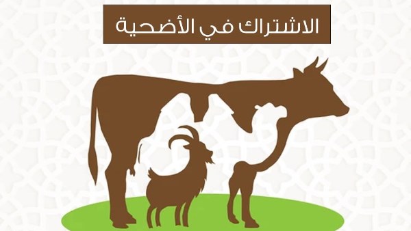 الاشتراك في الأضحية 