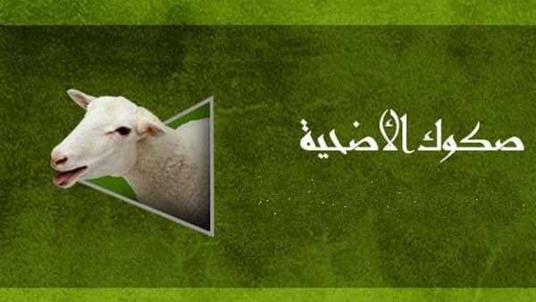 ما حكم صكوك الأضحية؟.. علي جمعة يجيب