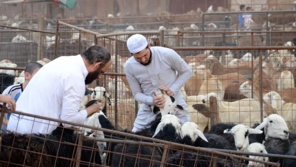 حكم المبادرة بشراء صكوك هدي التمتع مِن المدينة المنورة
