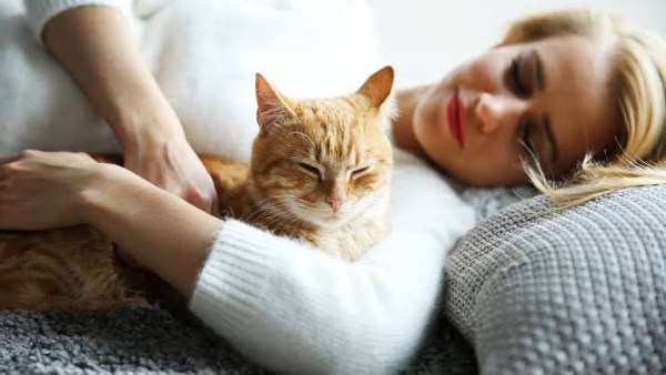 أمراض تسببها القطط للإنسان