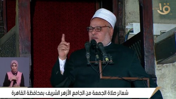 الدكتور إبراهيم الهدهد
