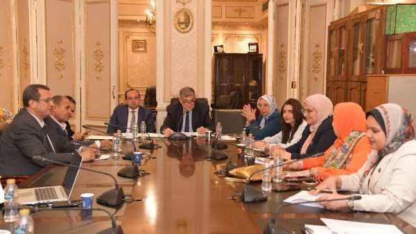  المستشار محمود فوزي