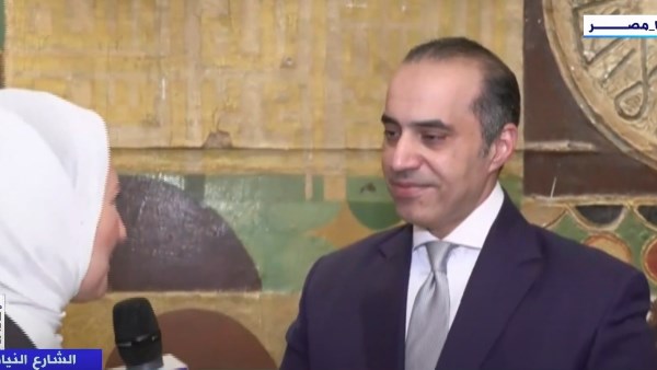 المستشار محمود فوزي
