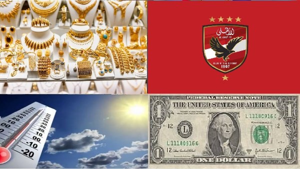 صورة الملف