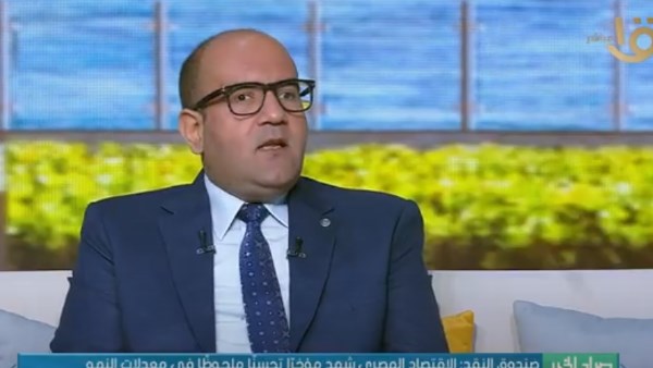 الخبير الاقتصادي الدكتور مصطفى أبو زيد