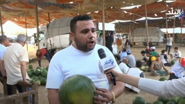 البطيخ